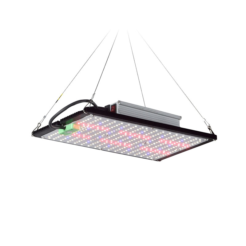 Indoor Plants - Lampu LED Quantum-Board untuk Pertumbuhan Tanaman,