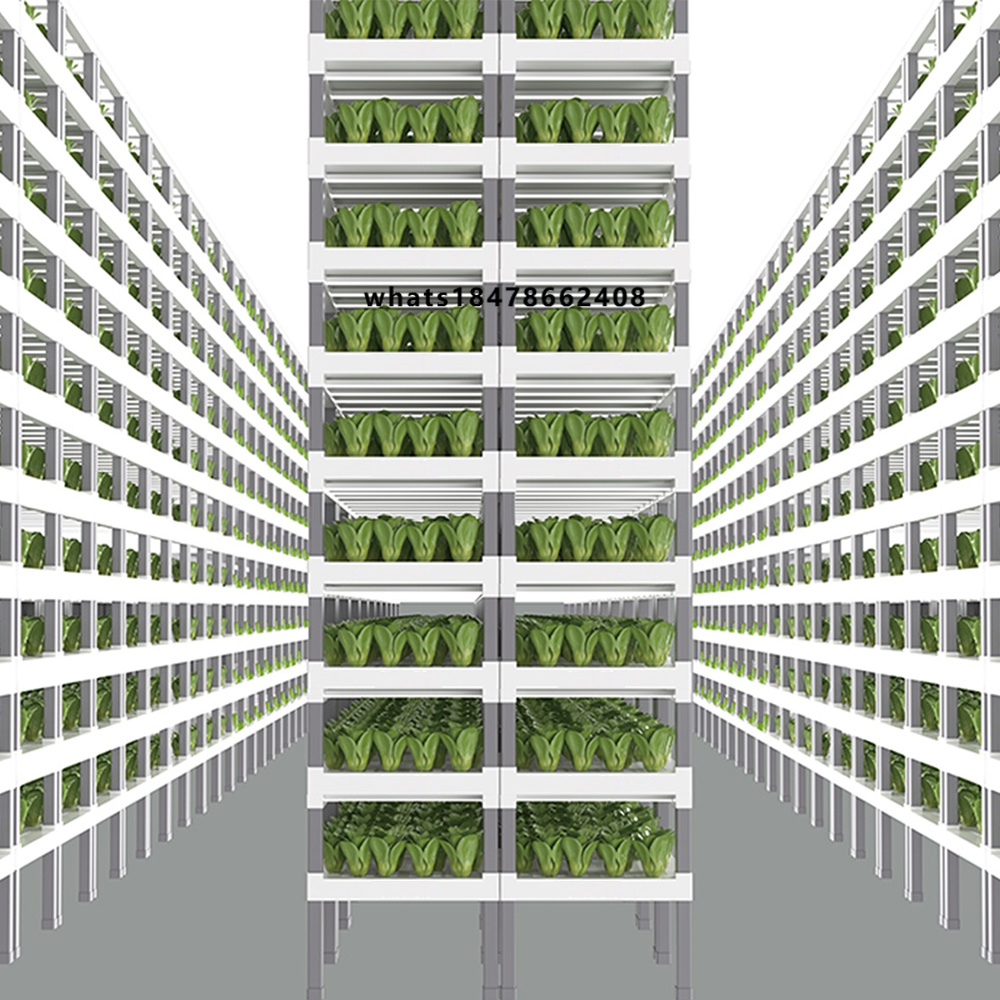 Indoor Plants - Sistem Hidroponik Cerdas Terkontrol Aplikasi untuk