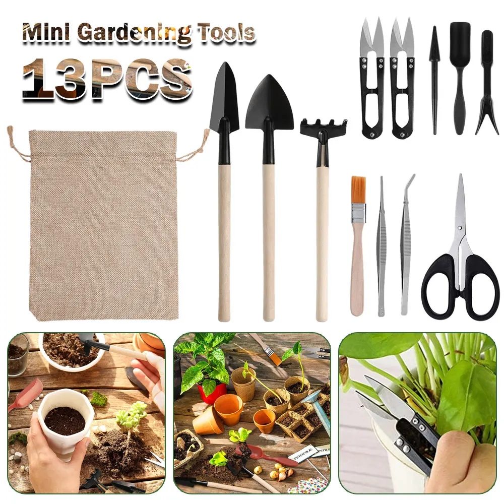 Succulent Set - Set peralatan taman, Set peralatan tanaman