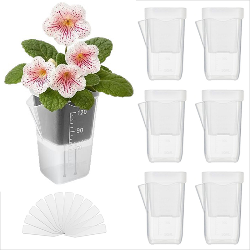Pothos - 16/32 Paket Pot Tanaman Penyiram Otomatis