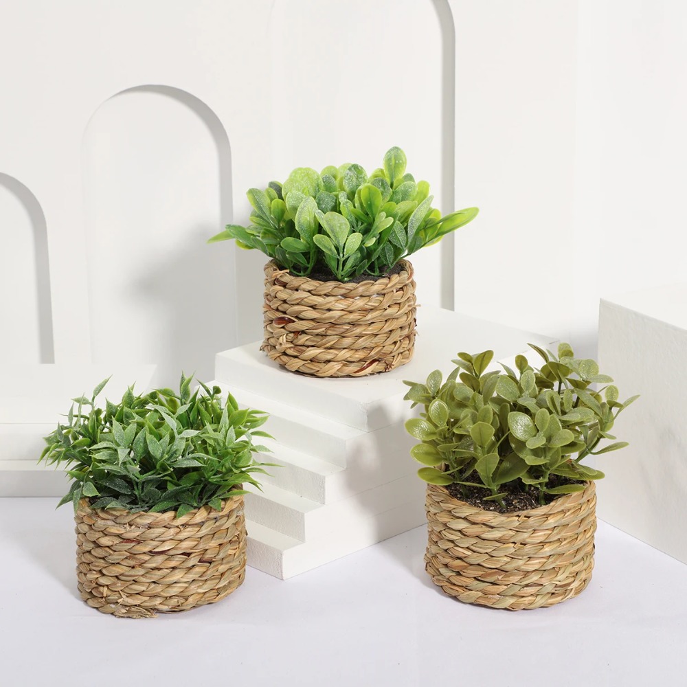 Succulent Set - Tanaman pot buatan hijau pohon kayu
