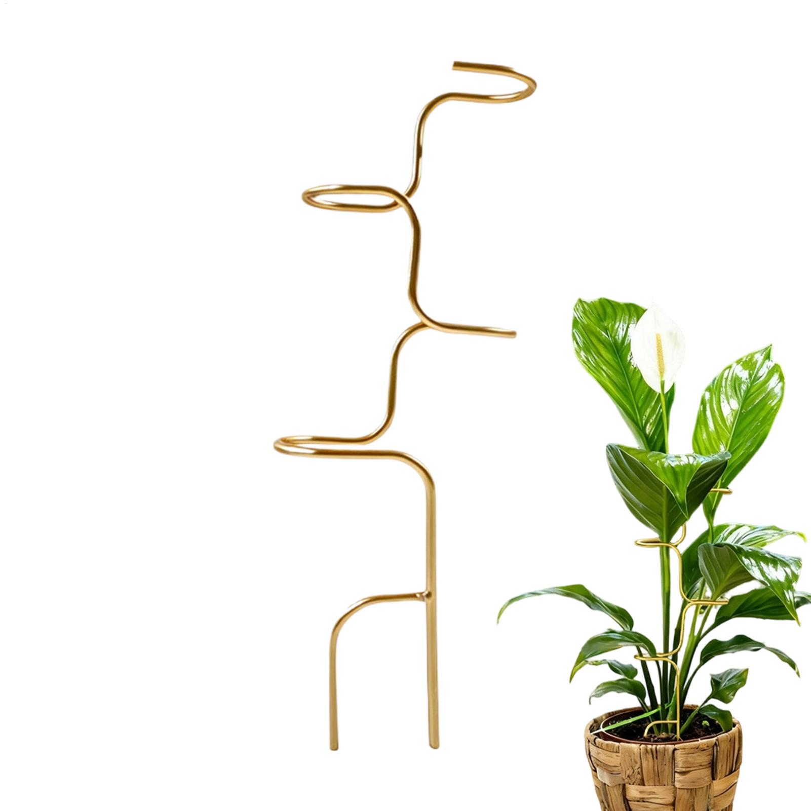 Plant Support Stake - Rangka Penyangga Batang Tanaman Taman, Penyangga