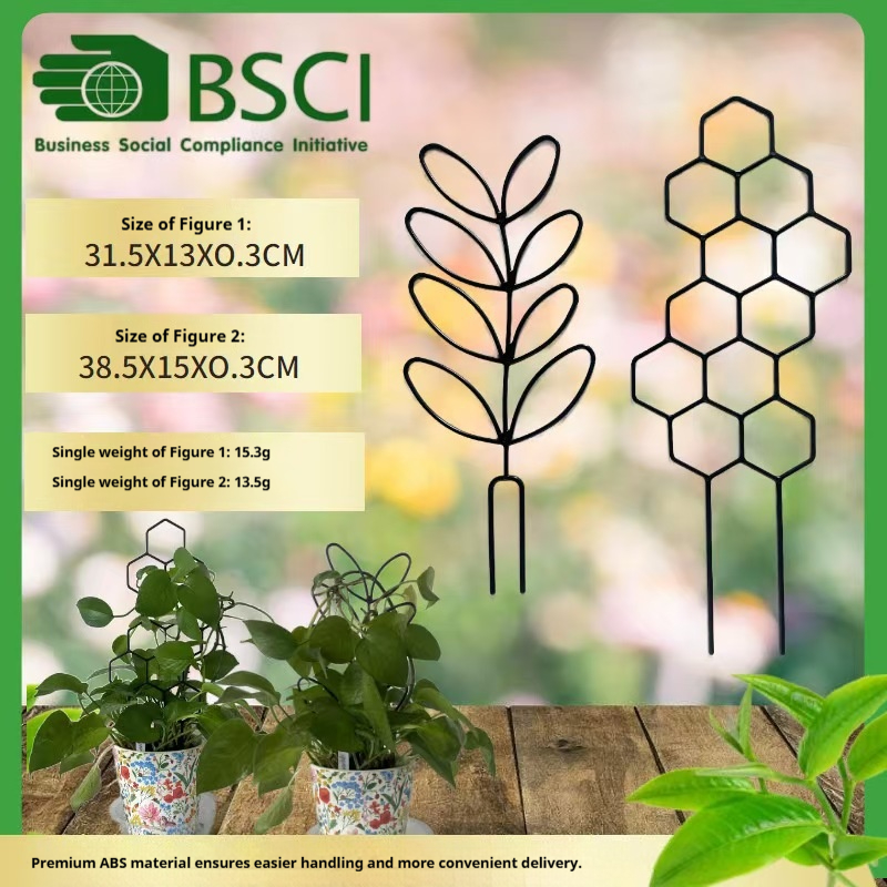 Pothos - 1 Buah Teralis Tanaman Desain Sarang