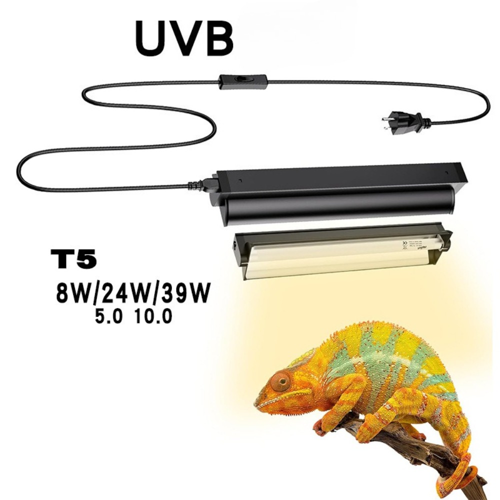 Snake Plant - Lampu LED Terarium Tanaman dan Reptil