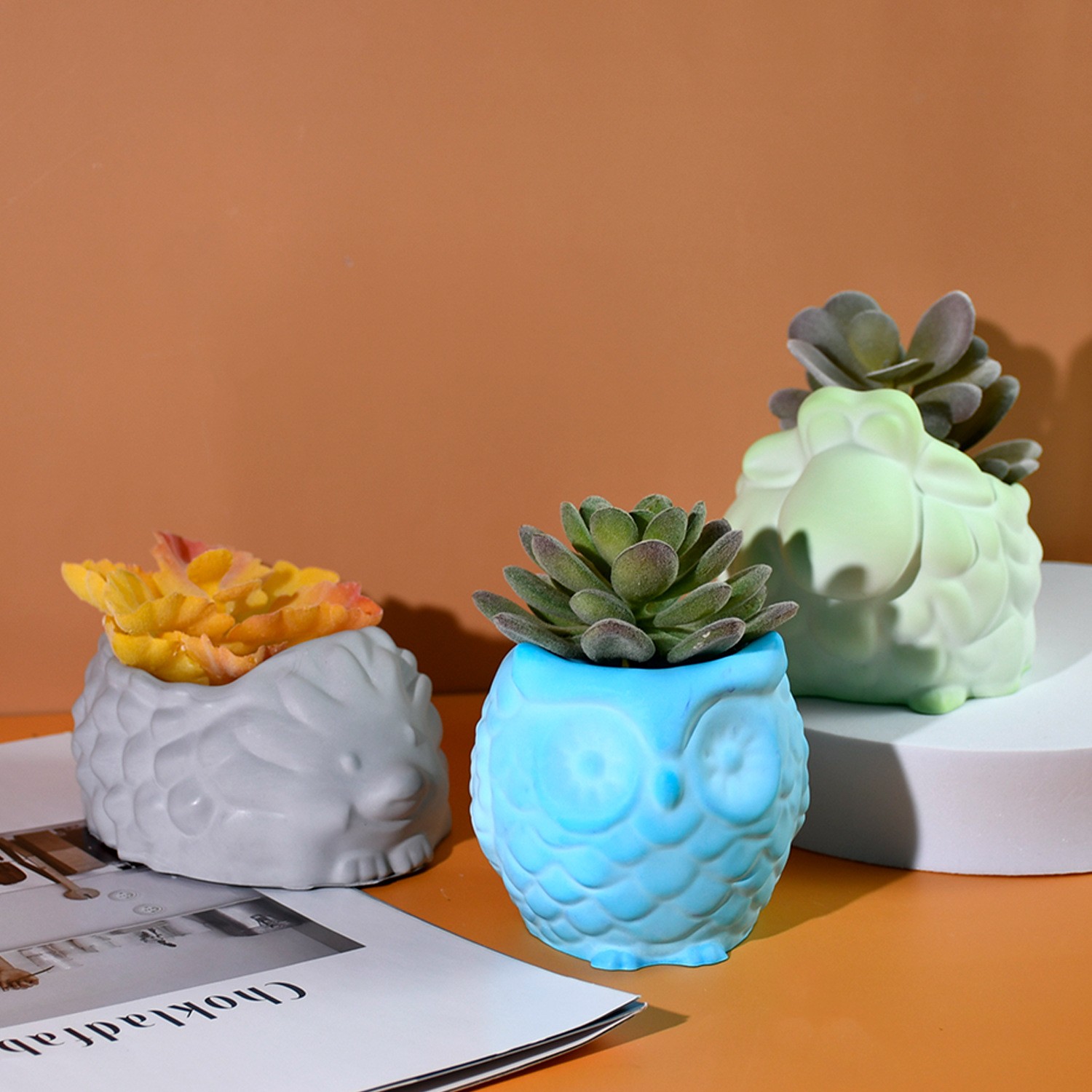 Cetakan Silikon Pot Bunga Hewa - Succulent Set ulasan dan harga