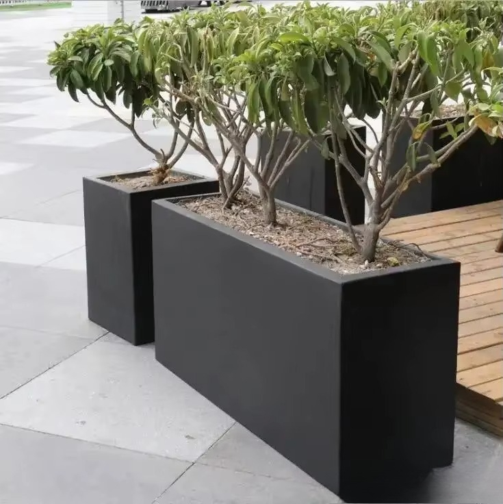 Pot Bunga Indoor Besar Gaya No - Indoor Plants ulasan dan harga