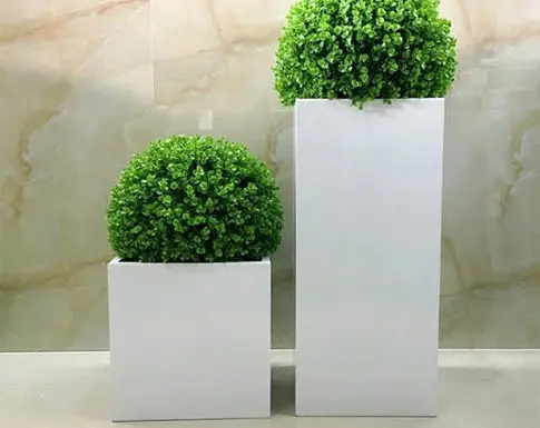 Pot Bunga Indoor Besar Gaya No - Indoor Plants ulasan dan harga
