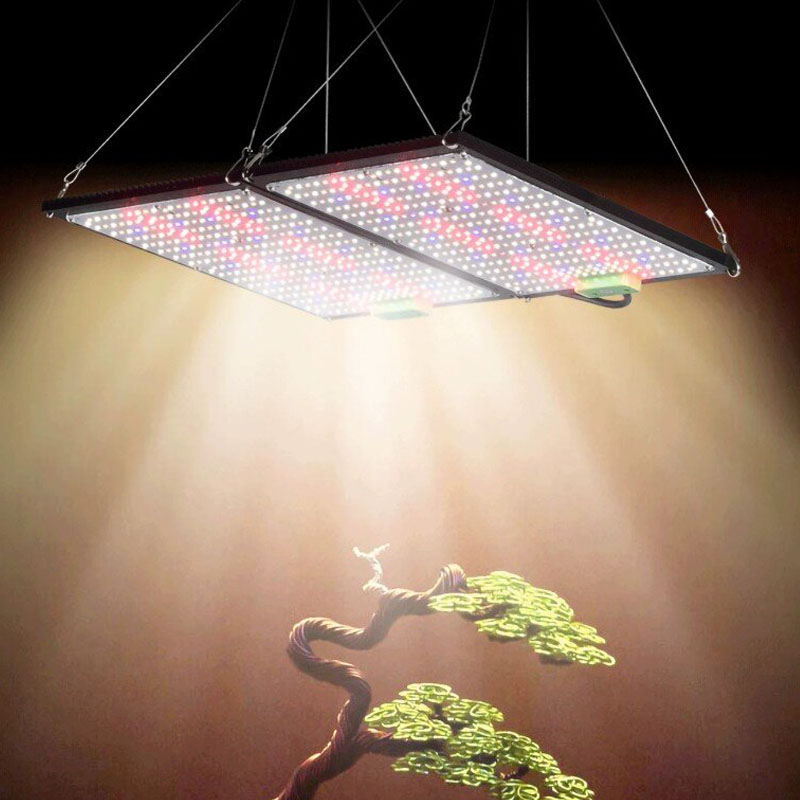 Lampu LED Quantum-Board untuk  - Indoor Plants ulasan dan harga