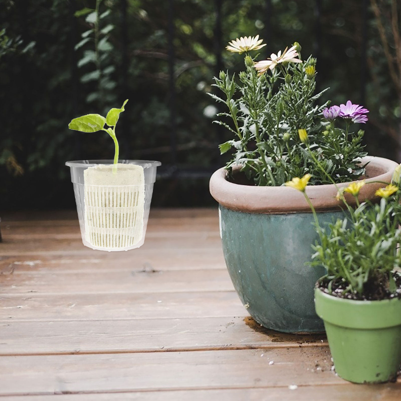 4 Buah Keranjang Tanaman Hidro - Plant Pot ulasan dan harga
