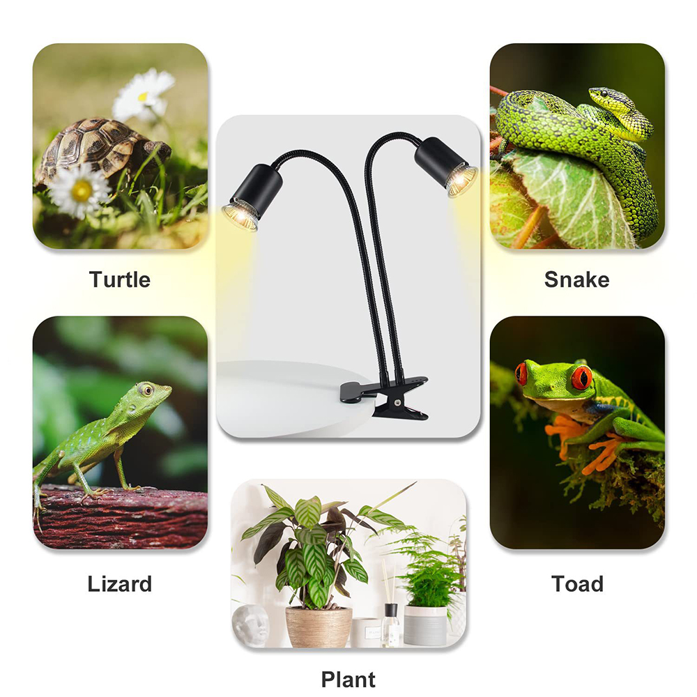 Lampu panas reptil berputar ke - Snake Plant ulasan dan harga