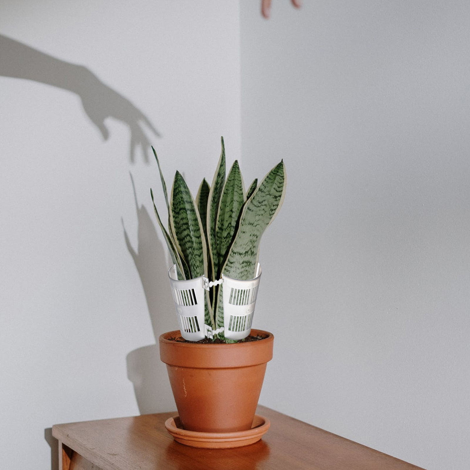 10 Buah Pot Tanaman dengan Kon - Plant Pot ulasan dan harga