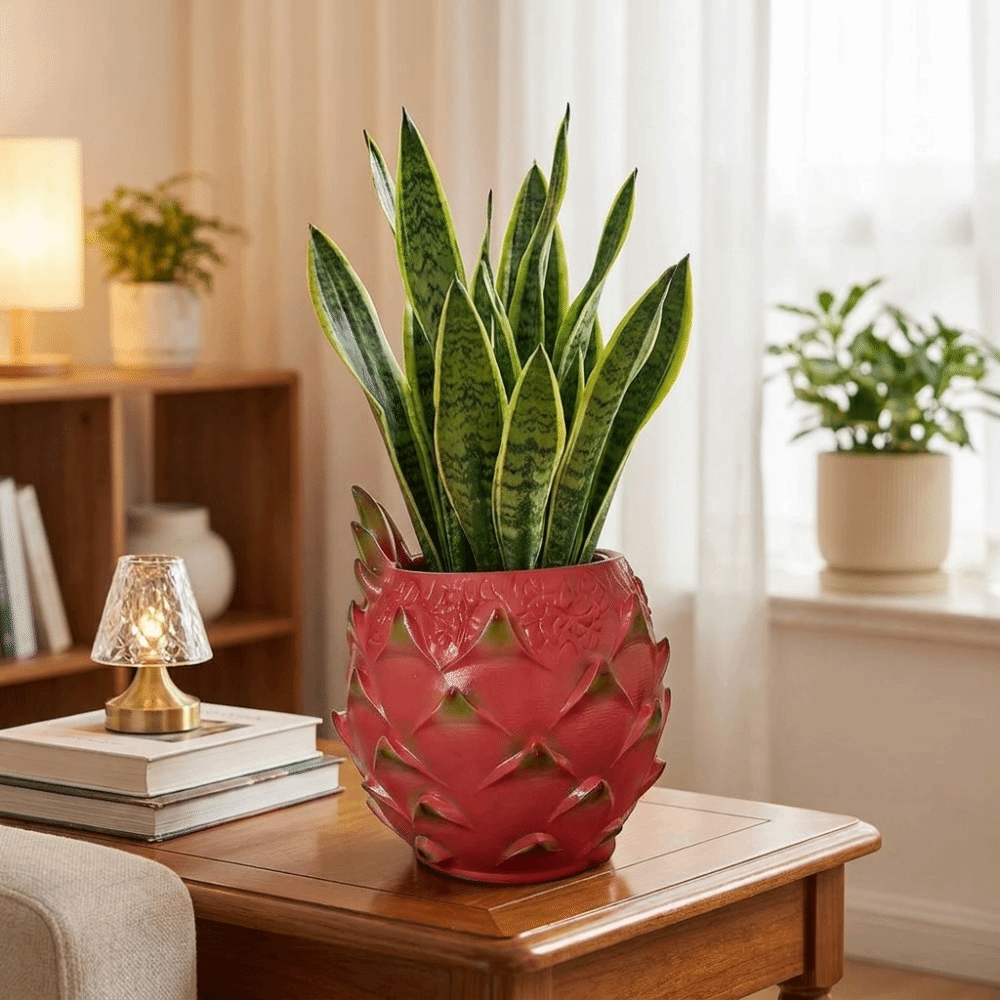 Pot Tanaman Buah Naga Resin Kr - Snake Plant Ceramic ulasan dan harga