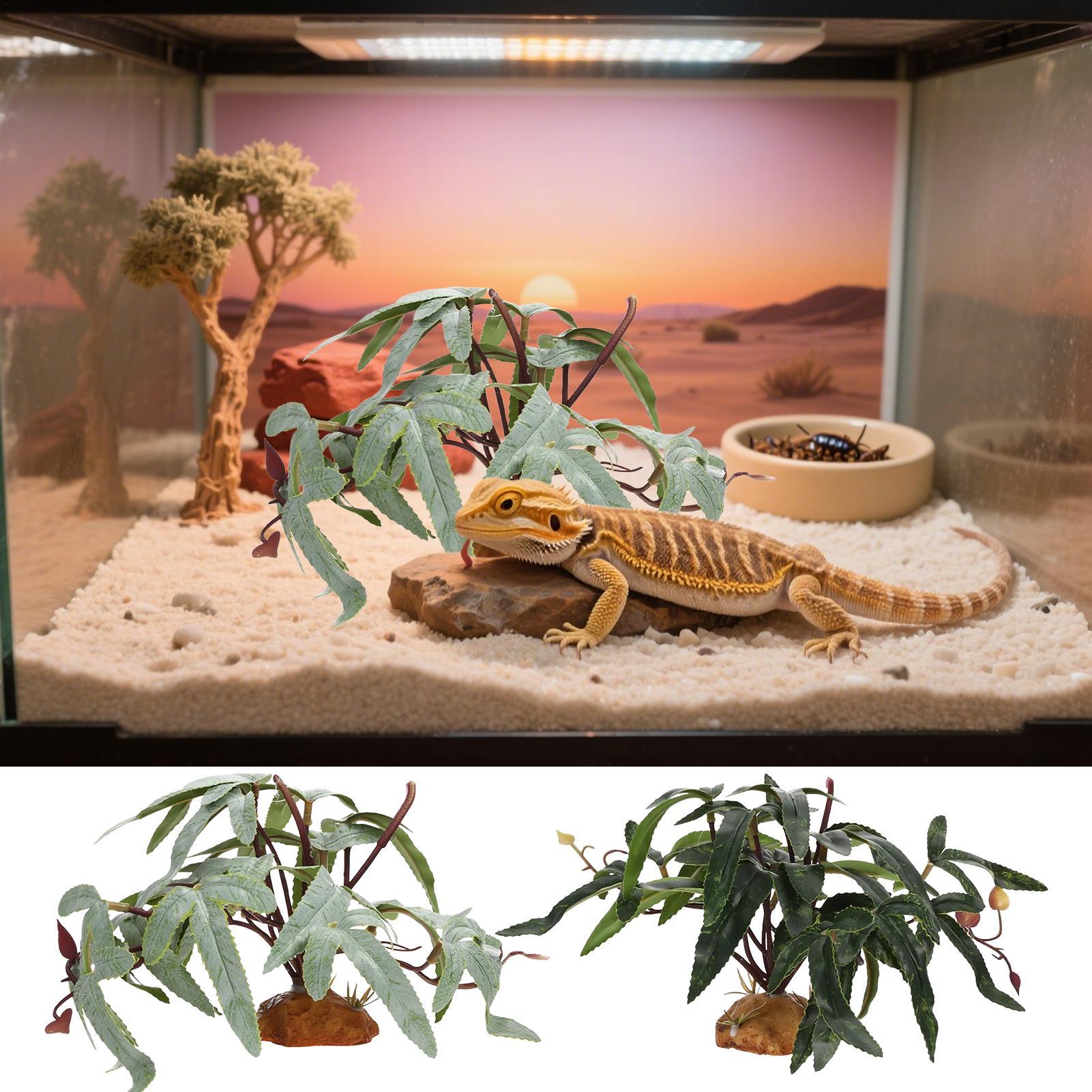 Tanaman Reptil Palsu, Hiasan T - Snake Plant ulasan dan harga