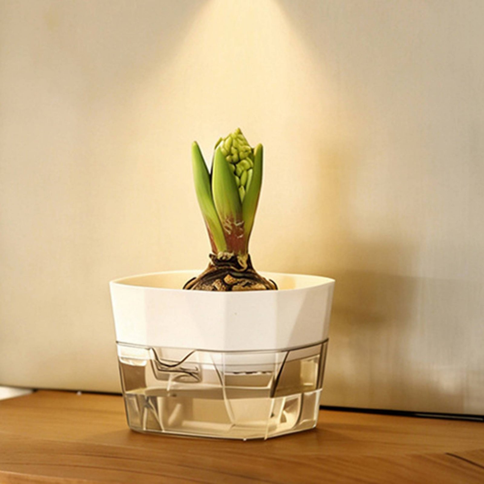 Vas Bunga Hidroponik Desain 2  - Plant Pot ulasan dan harga
