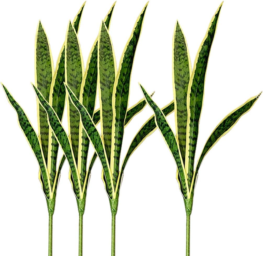 4 buah tanaman palsu ular imit - Snake Plant ulasan dan harga