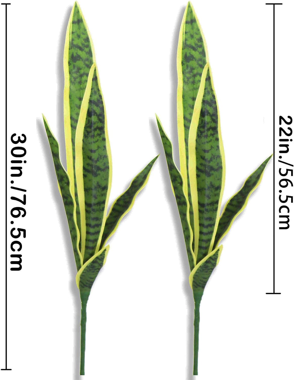 4 buah tanaman palsu ular imit - Snake Plant ulasan dan harga
