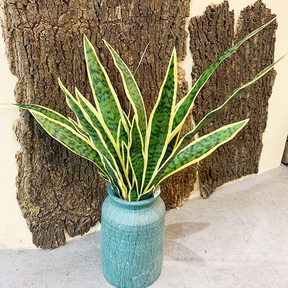 4 buah tanaman palsu ular imit - Snake Plant ulasan dan harga