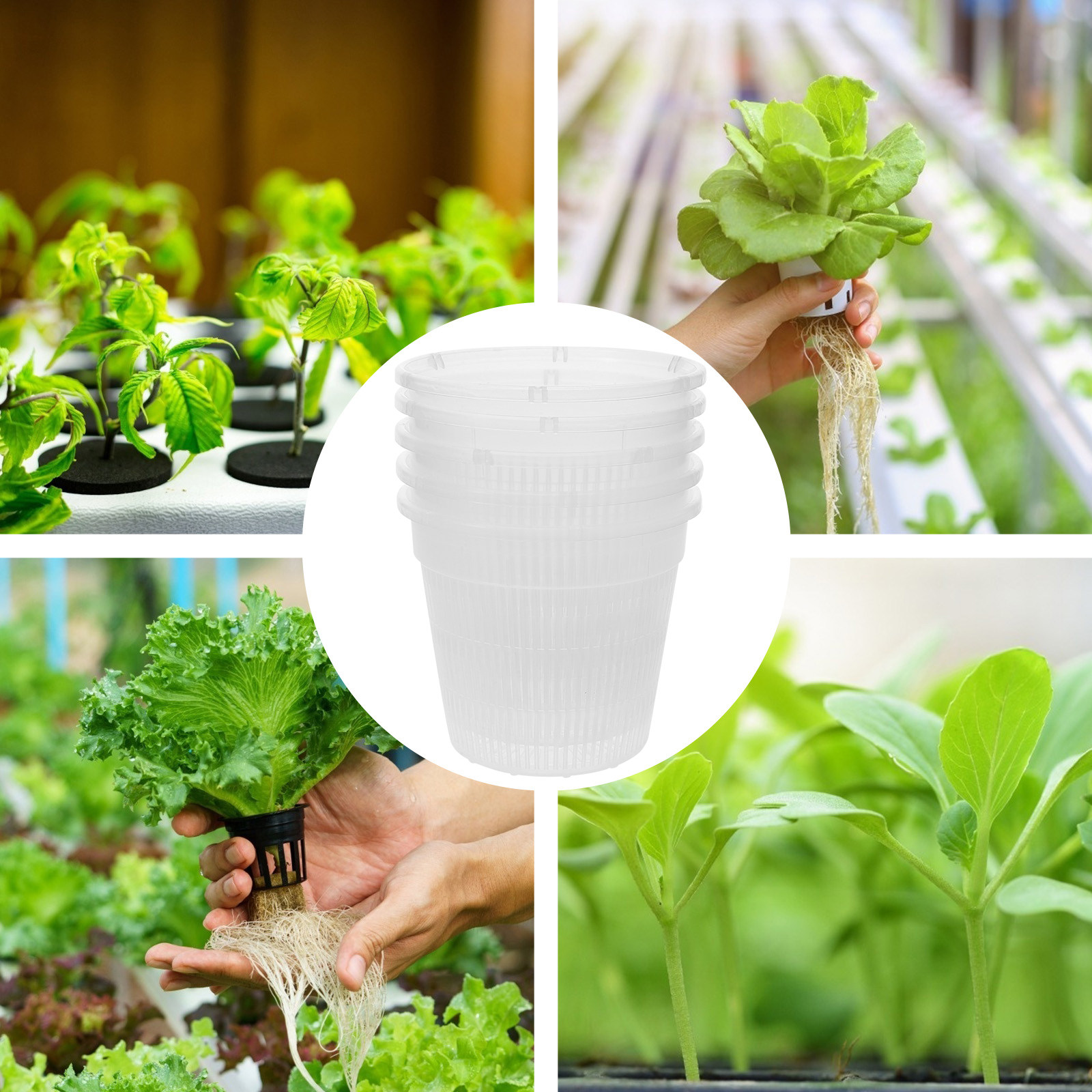 5 Buah Pot Jaring untuk Penana - Indoor Plants ulasan dan harga