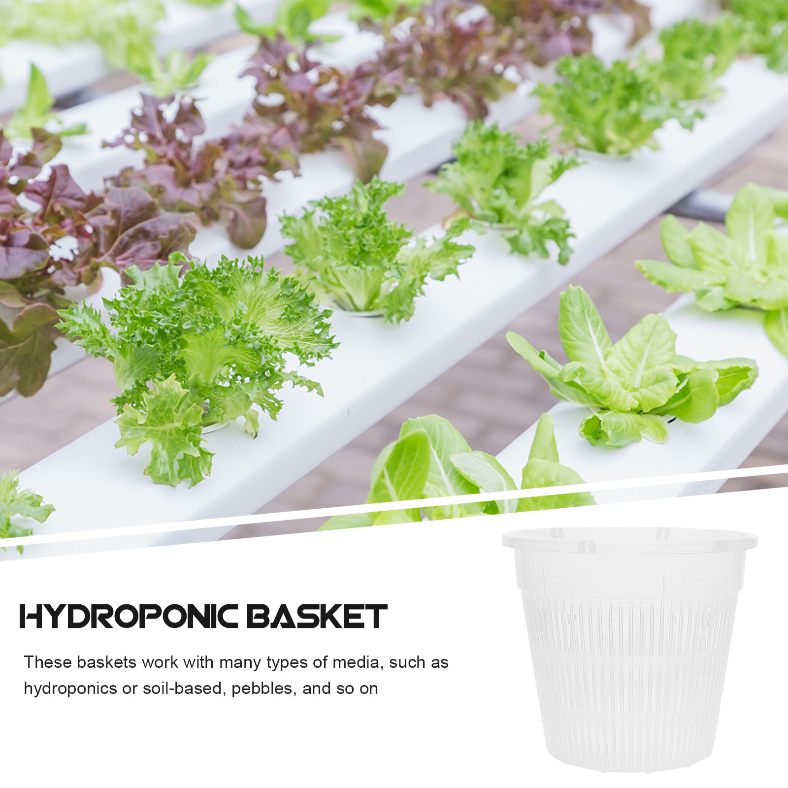 5 Buah Pot Jaring untuk Penana - Indoor Plants ulasan dan harga