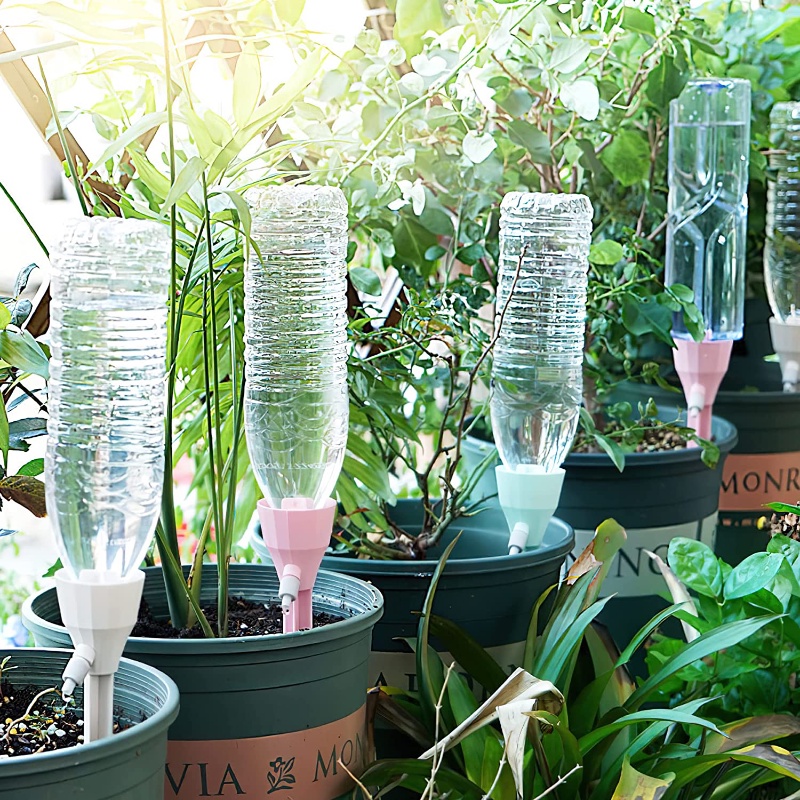 Sistem Irigasi Tetes Otomatis, - Pothos ulasan dan harga