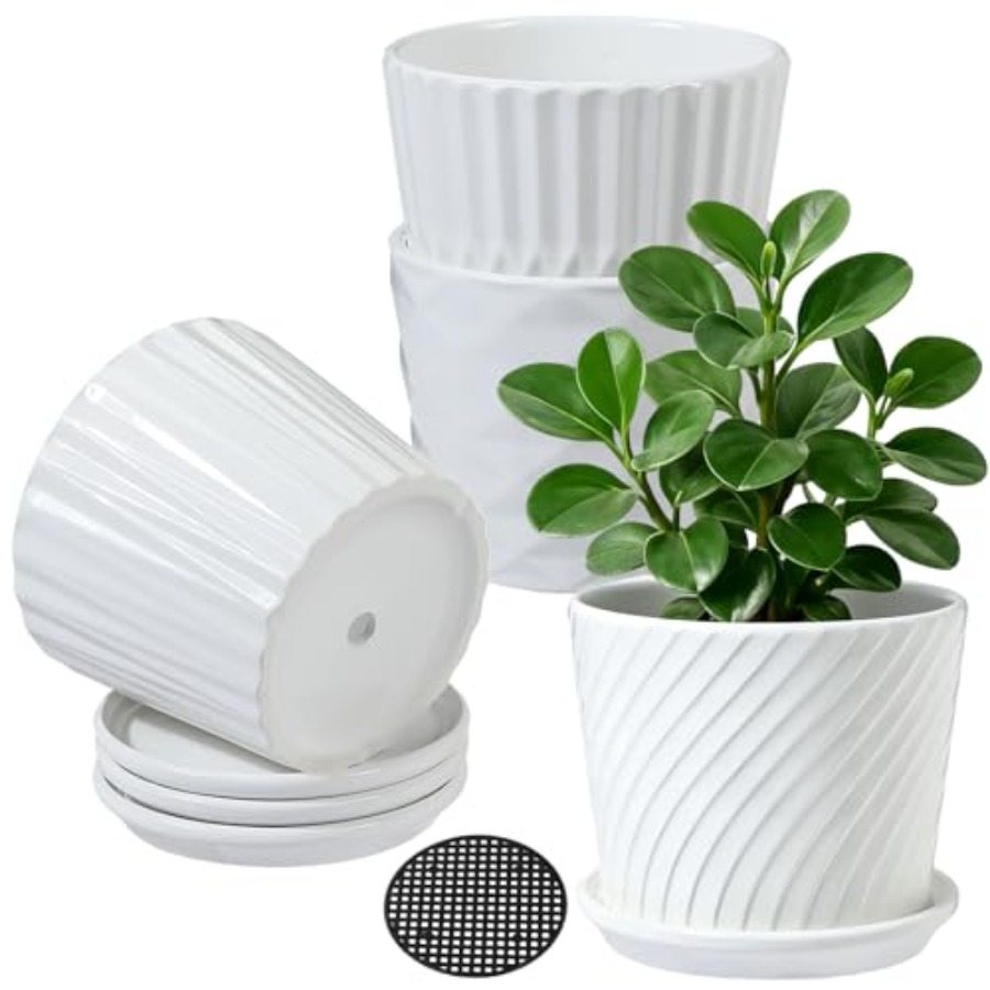 Pot Tanaman - Pot Keramik Sili - Snake Plant Ceramic ulasan dan harga