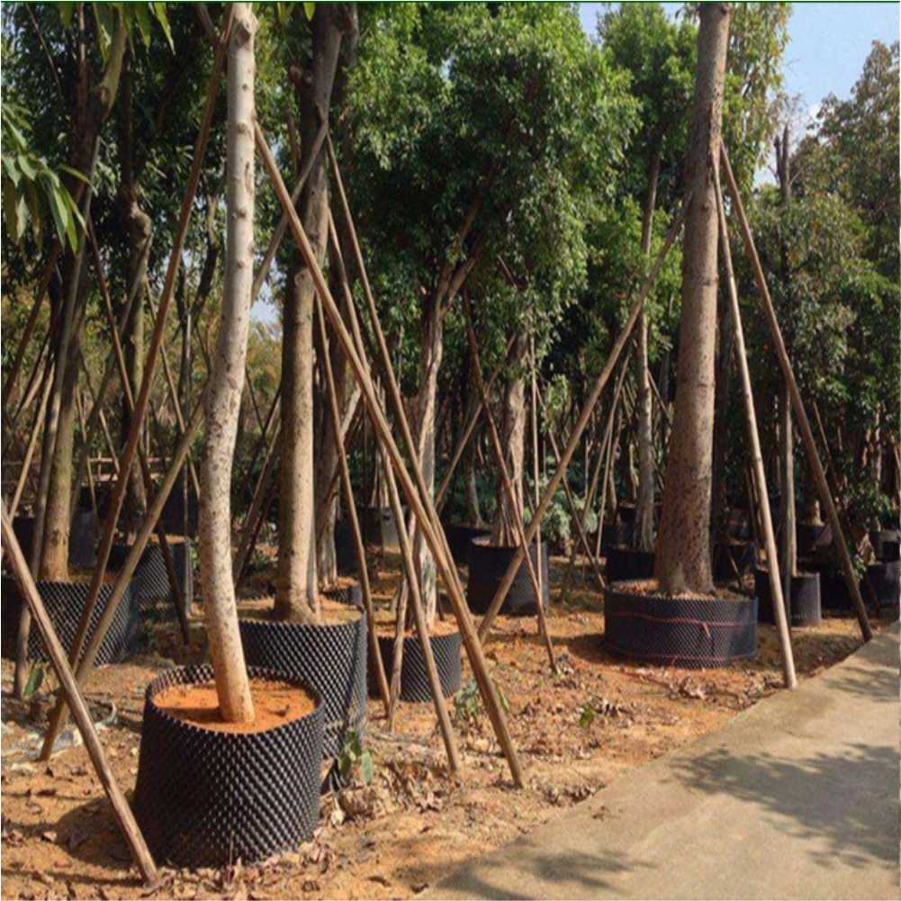 Alat Transplantasi Tanaman Bon - Plant Pot ulasan dan harga