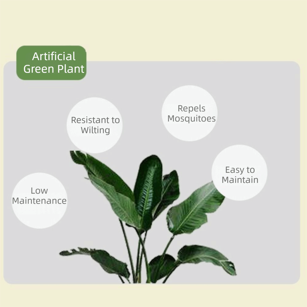 Pohon Ficus Plastik Hijau Ukur - Snake Plant ulasan dan harga