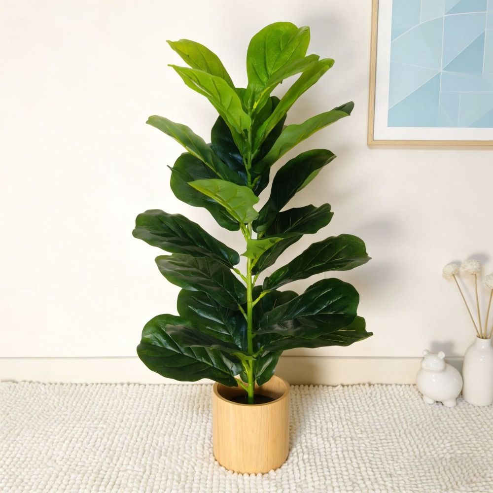 Pohon Ficus Plastik Hijau Ukur - Snake Plant ulasan dan harga