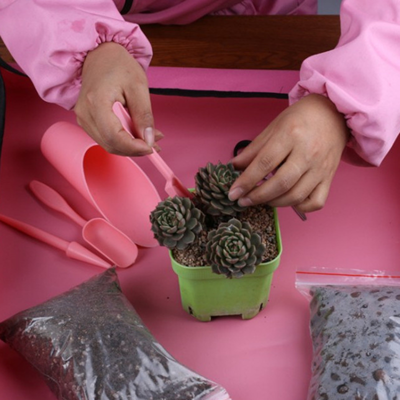 4Pcs/Set Peralatan Penanaman T - Succulent Set ulasan dan harga