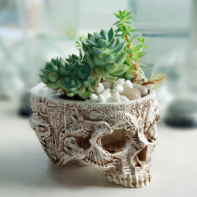 Wadah Pot bunga tengkorak Hall - Snake Plant Ceramic ulasan dan harga