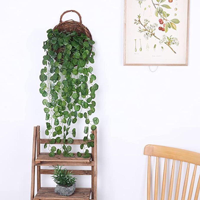Tanaman Gantung Rotan Buatan D - Succulent Set ulasan dan harga
