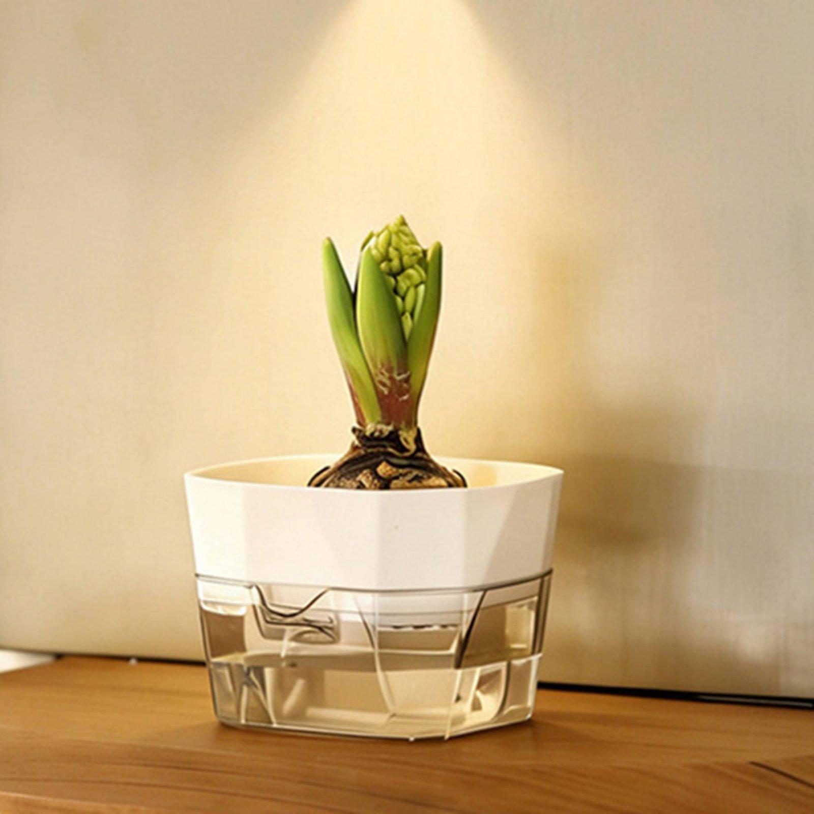 Vas Hidroponik Dua Lapis Penye - Indoor Plants ulasan dan harga