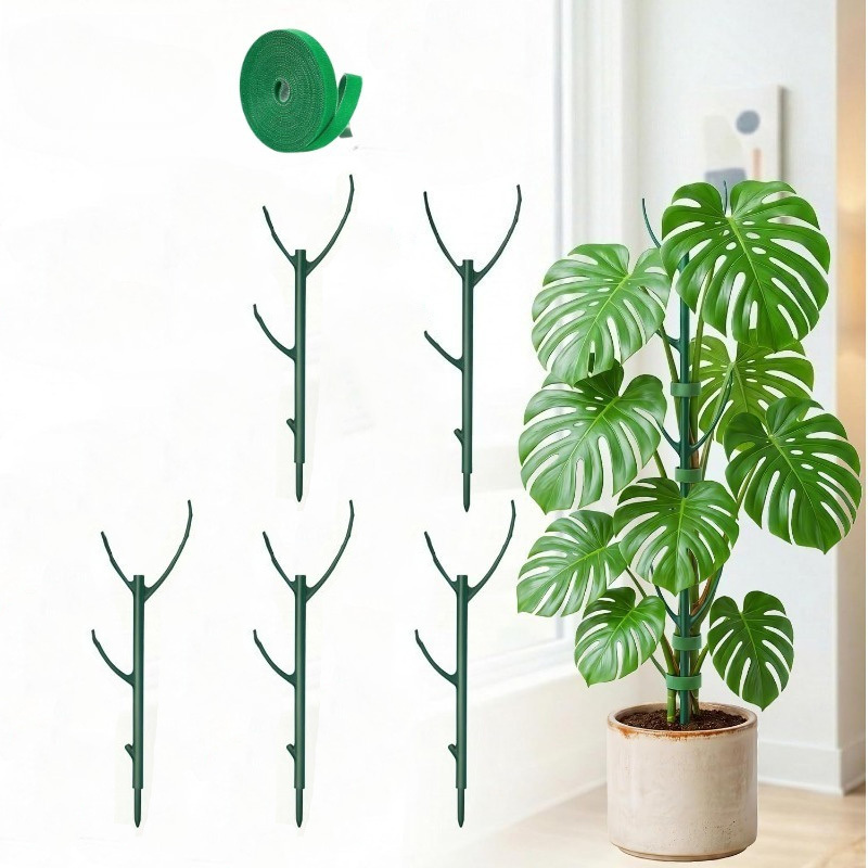 Penyangga Tanaman Monstera 5 R - Plant Support Stake ulasan dan harga