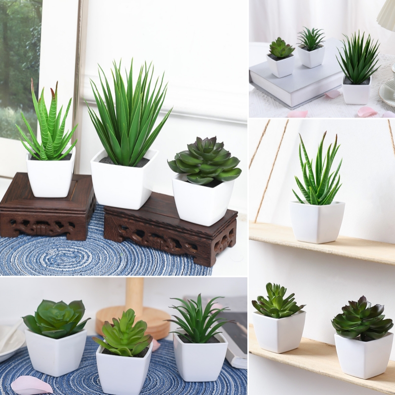 (Satu set dari 3 buah) simulas - Succulent Set ulasan dan harga