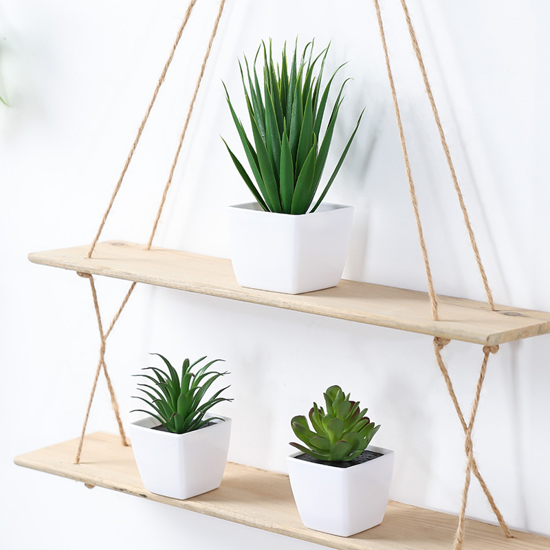 (Satu set dari 3 buah) simulas - Succulent Set ulasan dan harga