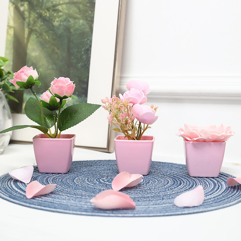 (Satu set dari 3 buah) simulas - Succulent Set ulasan dan harga