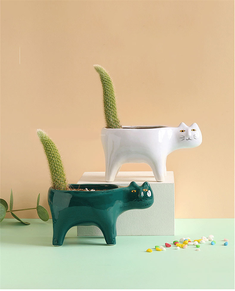 Pot bunga keramik kucing lucu  - Snake Plant Ceramic ulasan dan harga