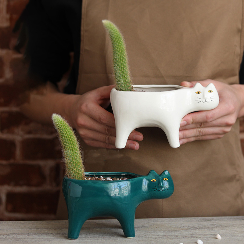 Pot bunga keramik kucing lucu  - Snake Plant Ceramic ulasan dan harga