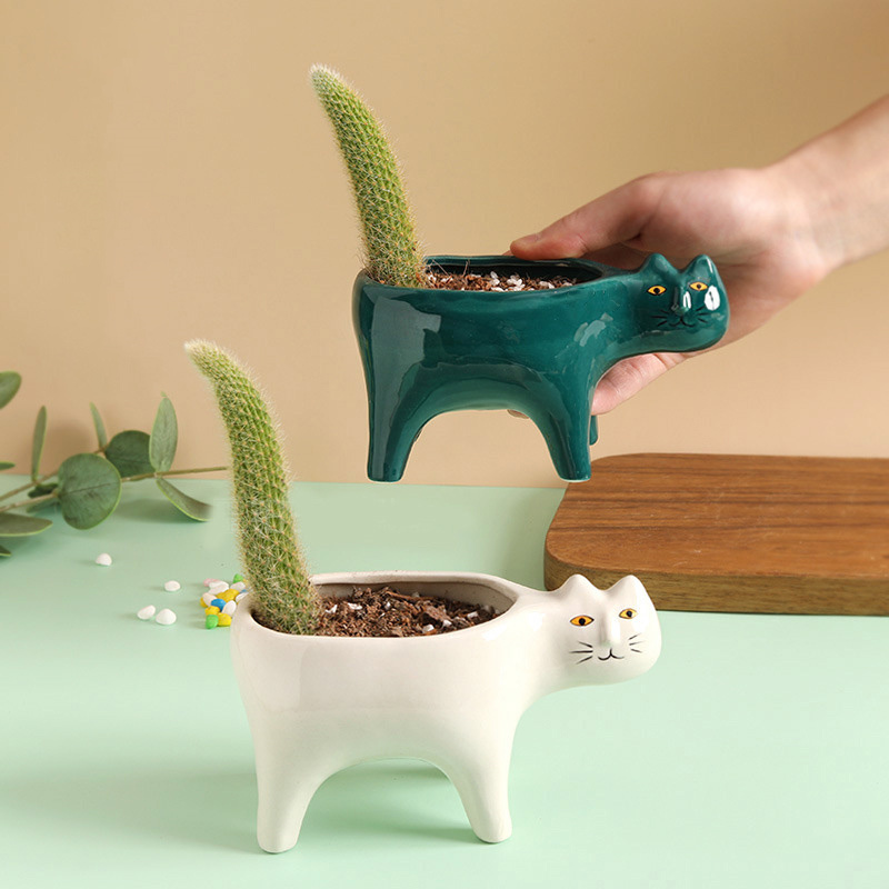 Pot bunga keramik kucing lucu  - Snake Plant Ceramic ulasan dan harga