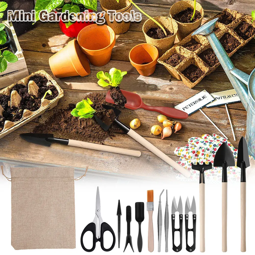 Set peralatan taman, Set peral - Succulent Set ulasan dan harga