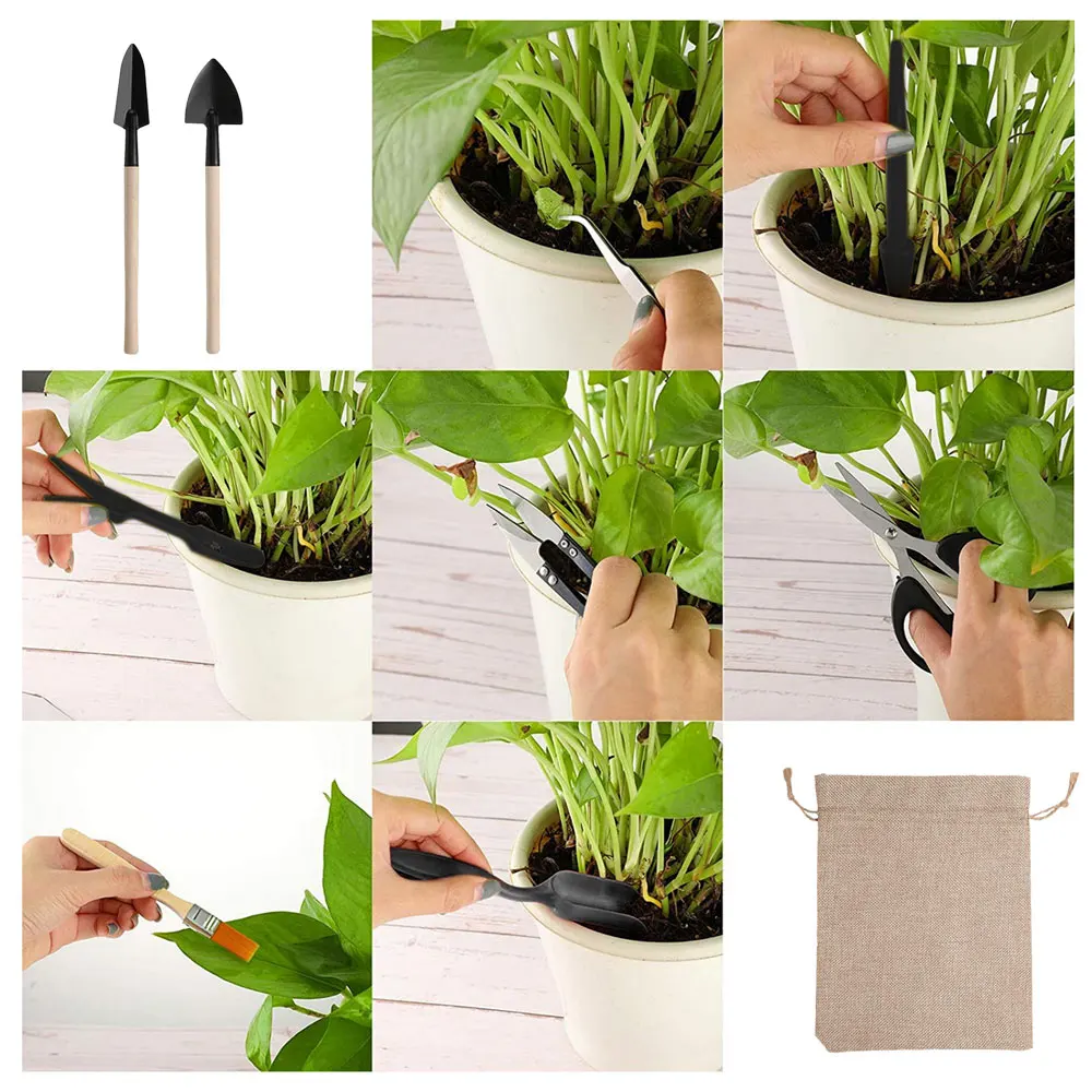 Set peralatan taman, Set peral - Succulent Set ulasan dan harga