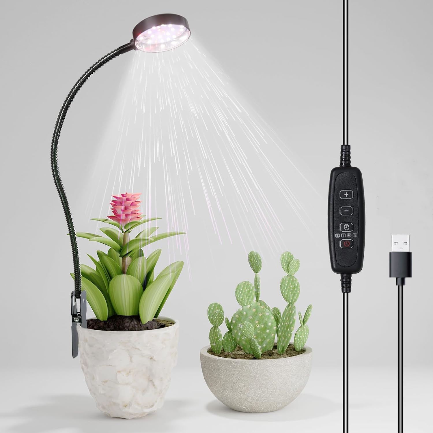 Lampu Tumbuh LED USB 6000K Spe - Pothos ulasan dan harga