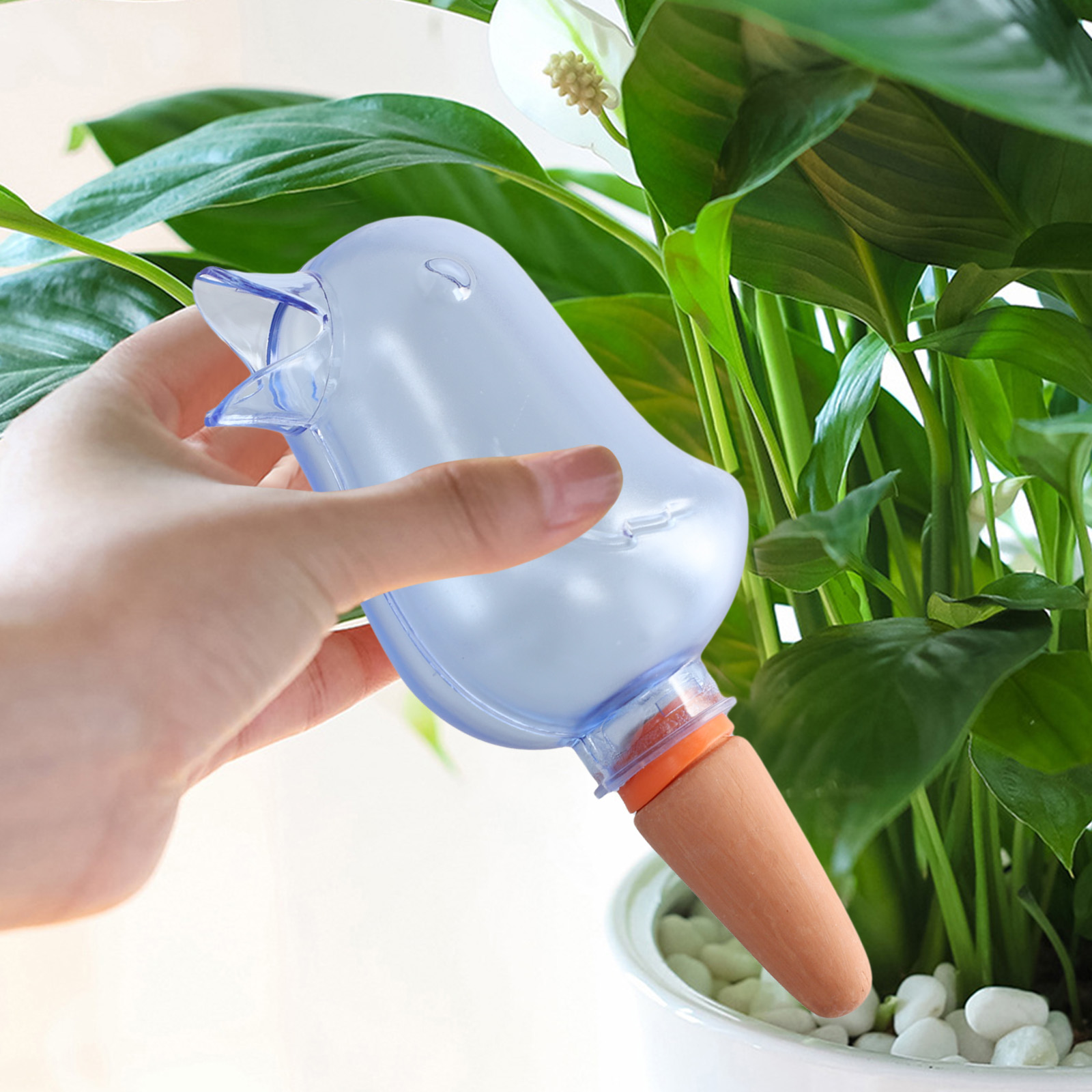 Sistem Irigasi Tetes Tanaman O - Pothos ulasan dan harga