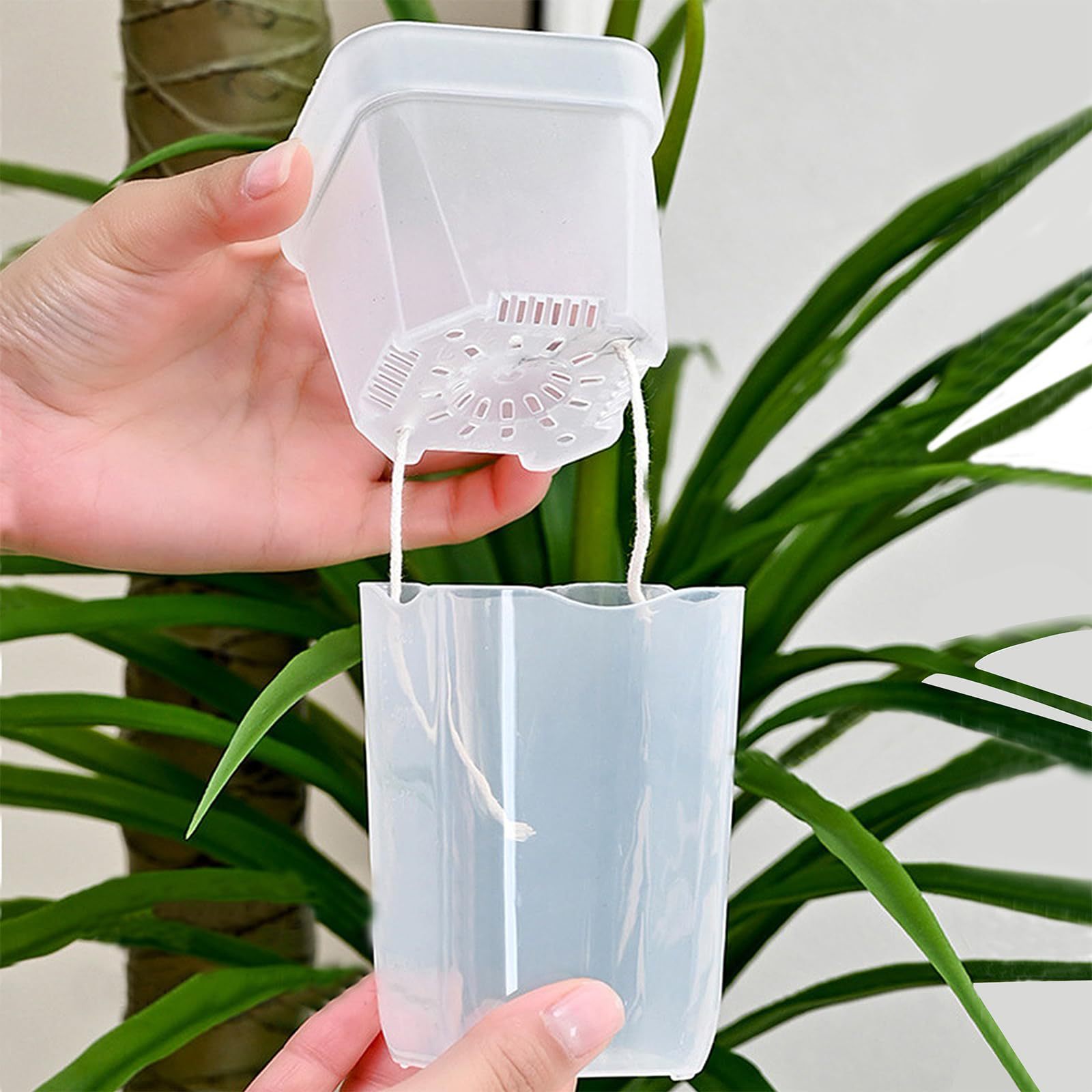 16/32 Paket Pot Tanaman Penyir - Pothos ulasan dan harga
