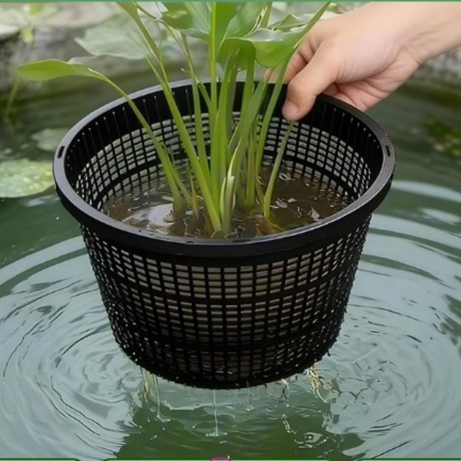 Pot Tanaman Hidroponik Berbing - Plant Pot ulasan dan harga