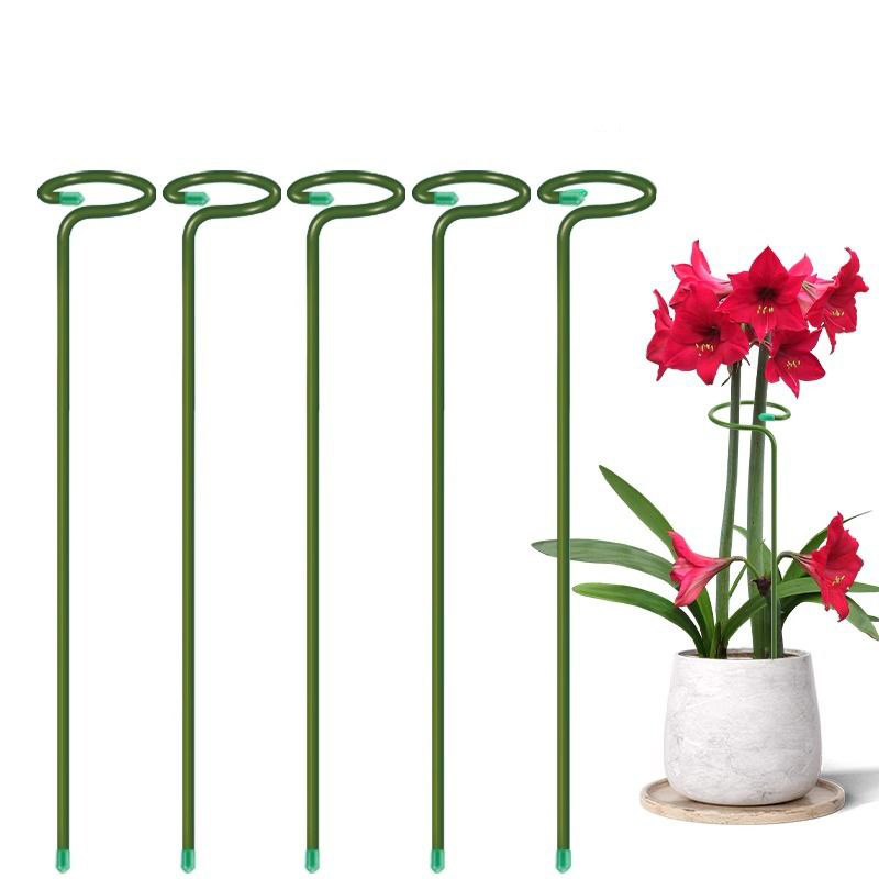1-10 Buah Tempat Semak Tanaman - Plant Support Stake ulasan dan harga