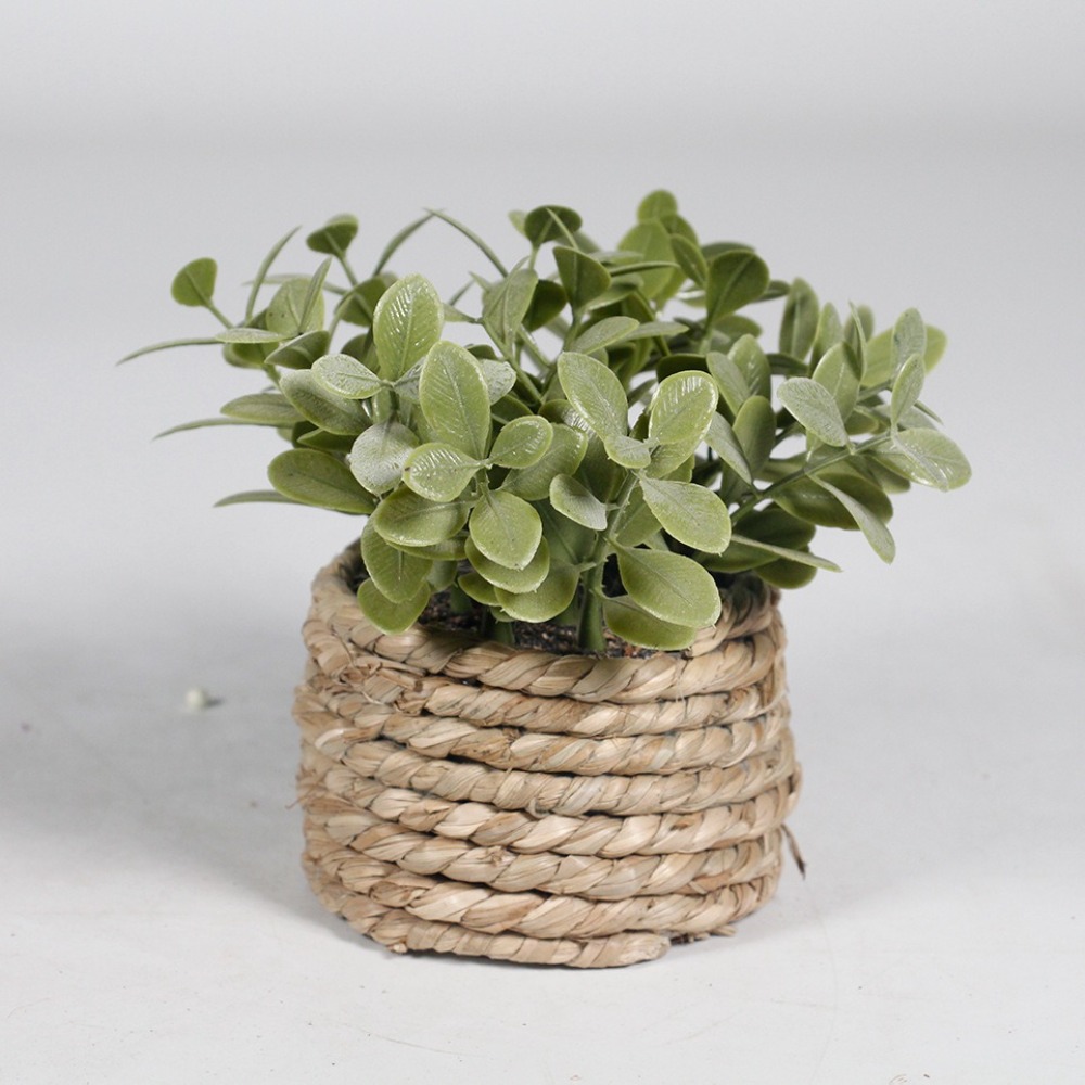 Tanaman pot buatan hijau pohon - Succulent Set ulasan dan harga