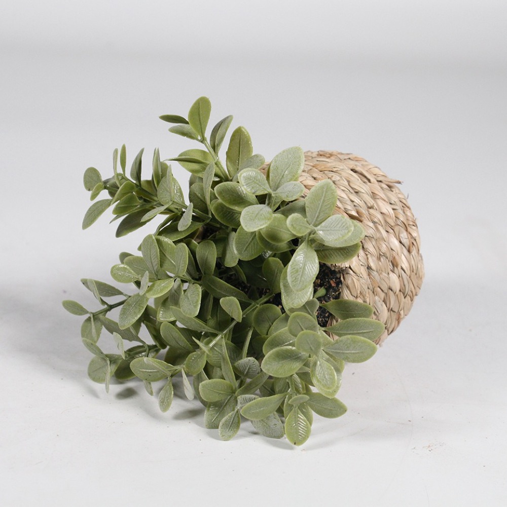 Tanaman pot buatan hijau pohon - Succulent Set ulasan dan harga