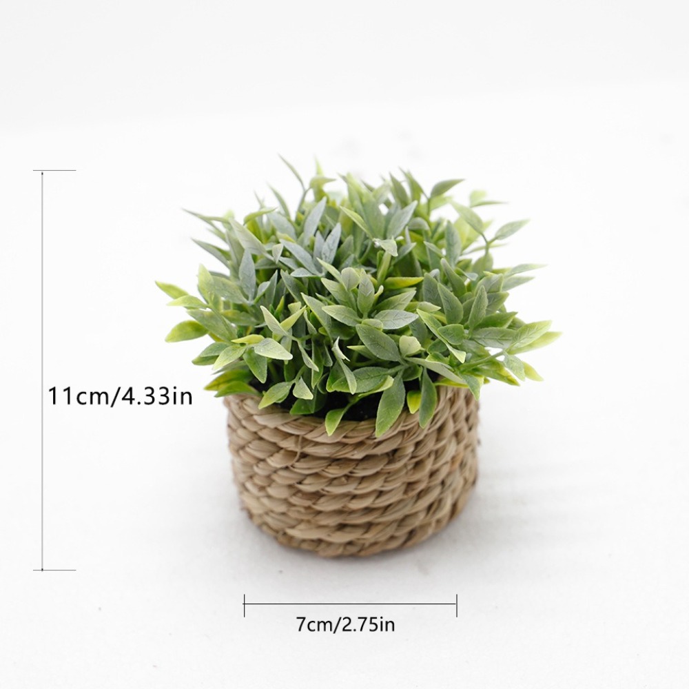 Tanaman pot buatan hijau pohon - Succulent Set ulasan dan harga