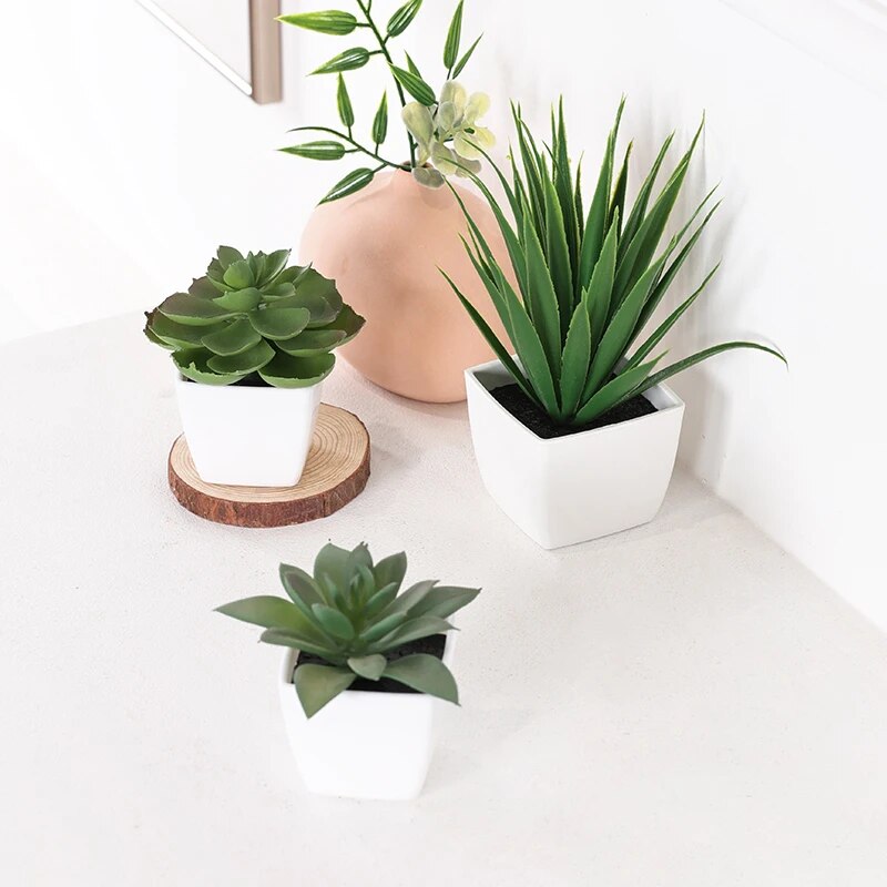 Bonsai tanaman Evergreen buata - Succulent Set ulasan dan harga